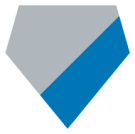 Detroit Lions